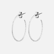 Delicate Diamond Hoop Earrings